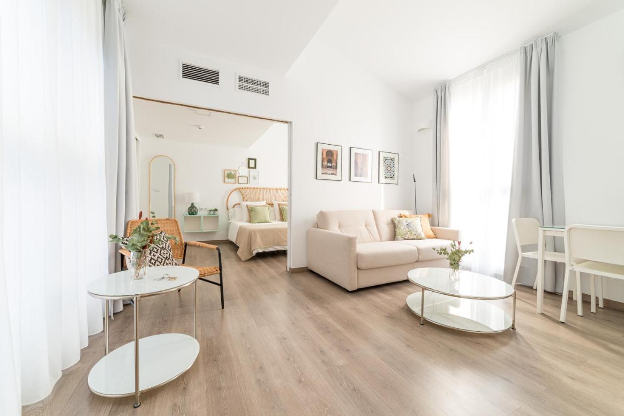 Apartamentos Con Encanto En El Centro De グラナダ エクステリア 写真